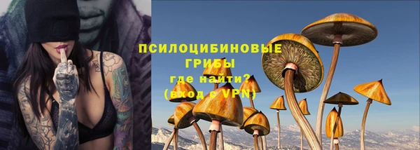 spice Белокуриха