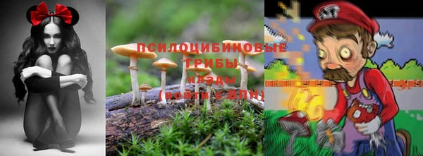 стаф Белоозёрский